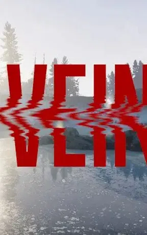VEIN 封面